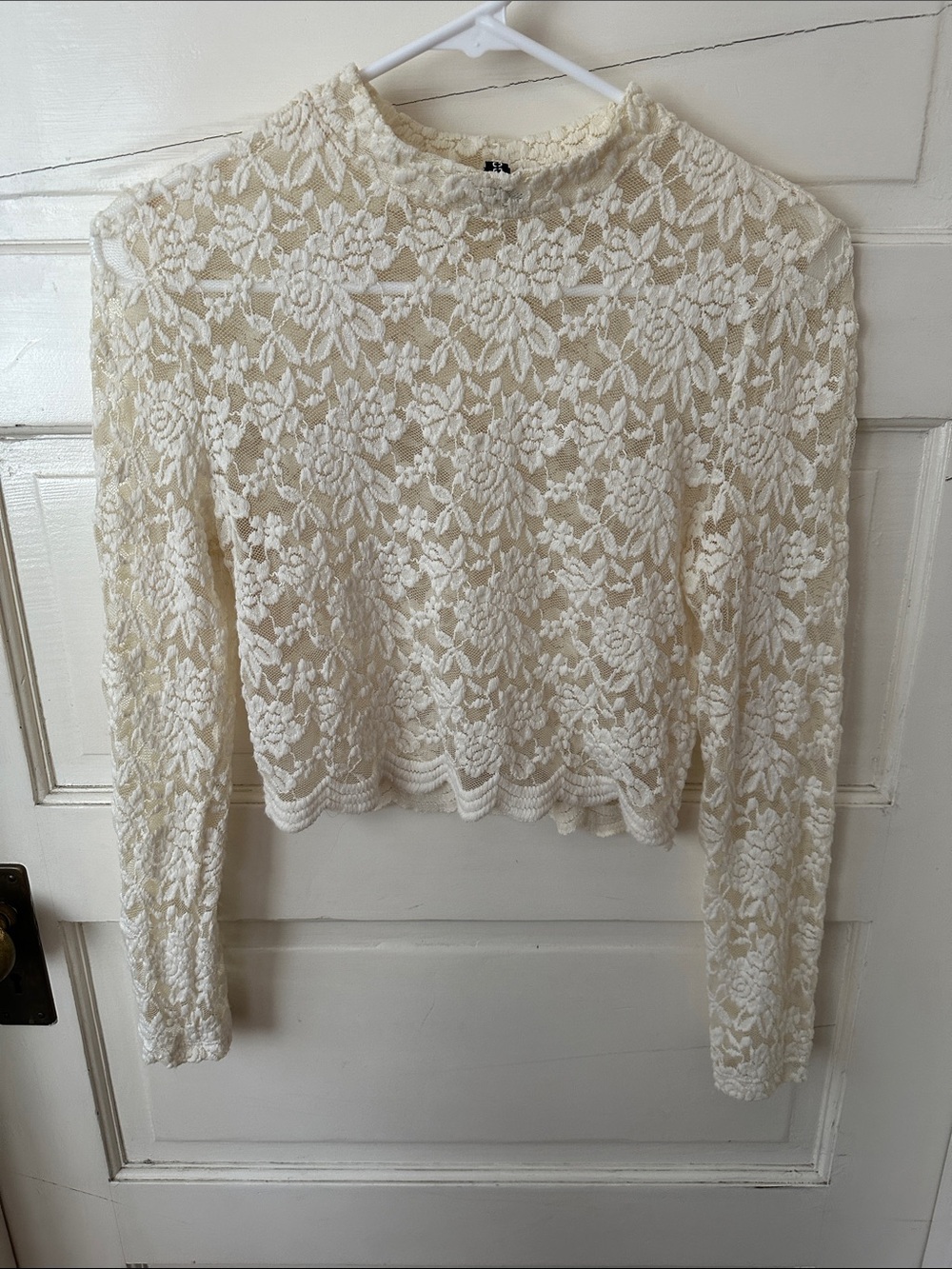 High Neck Sheer Floral Lace Long Sleeve Scalloped Hem Cropped Top Off White